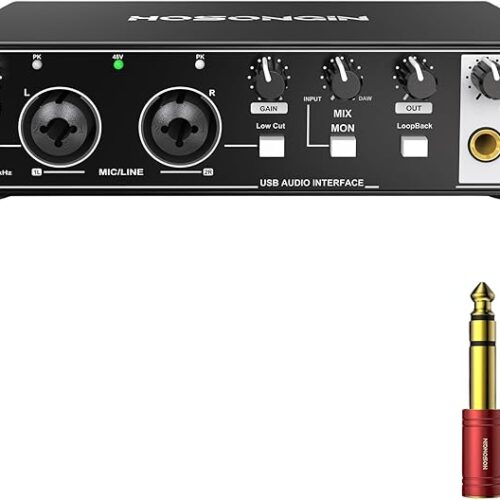 HOSONGIN USB Audio Interface – Tu puerta de entrada al mundo del sonido profesional