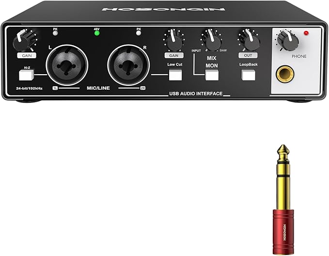 HOSONGIN USB Audio Interface – Tu puerta de entrada al mundo del sonido profesional